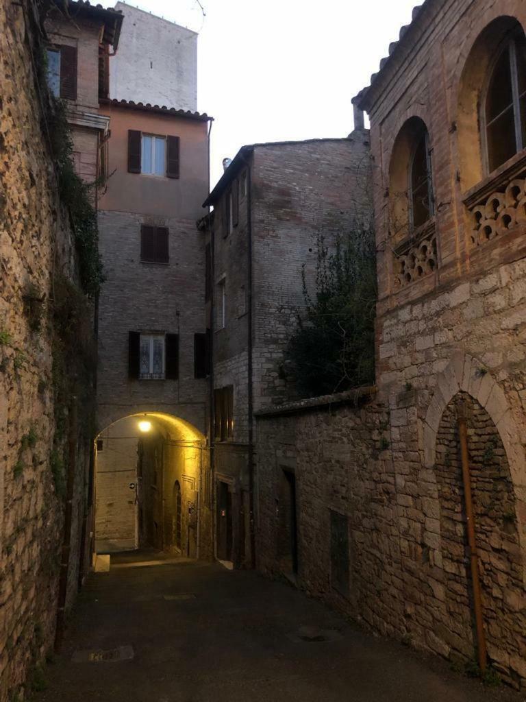 Sciri #1 Perugia